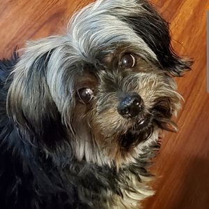 Meet your Posher, Celestina